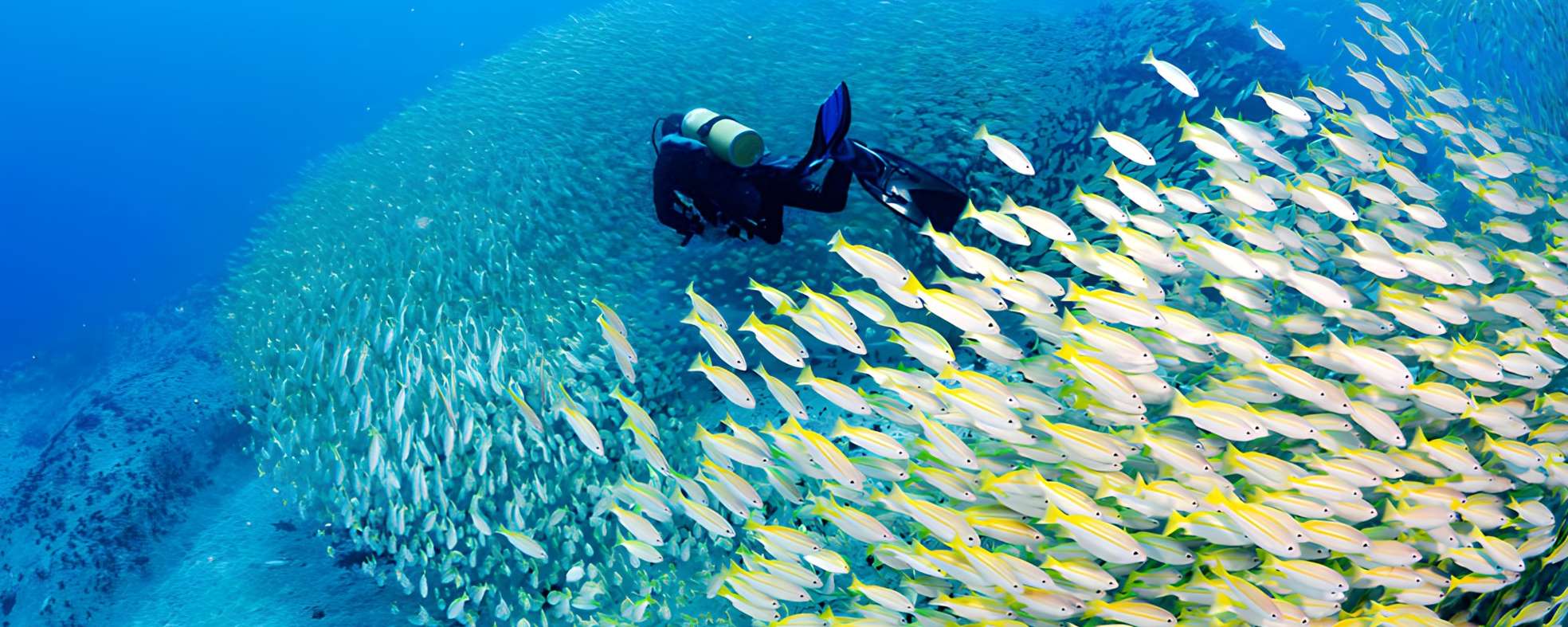 Dive Explorer Seychelles